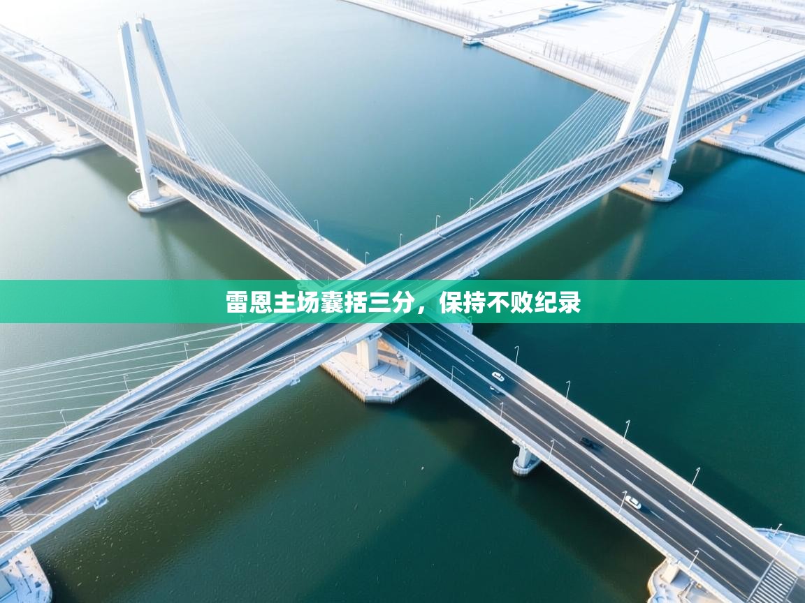 雷恩主场囊括三分，保持不败纪录  第2张