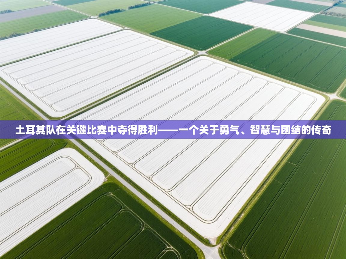 土耳其队在关键比赛中夺得胜利——一个关于勇气、智慧与团结的传奇  第1张