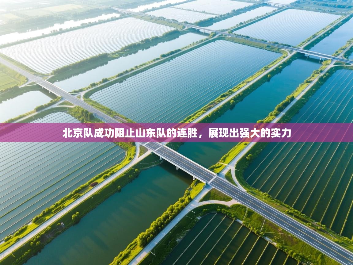 北京队成功阻止山东队的连胜，展现出强大的实力